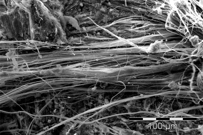 Rasterelektronenmikroskopie-Aufnahme von Asbest